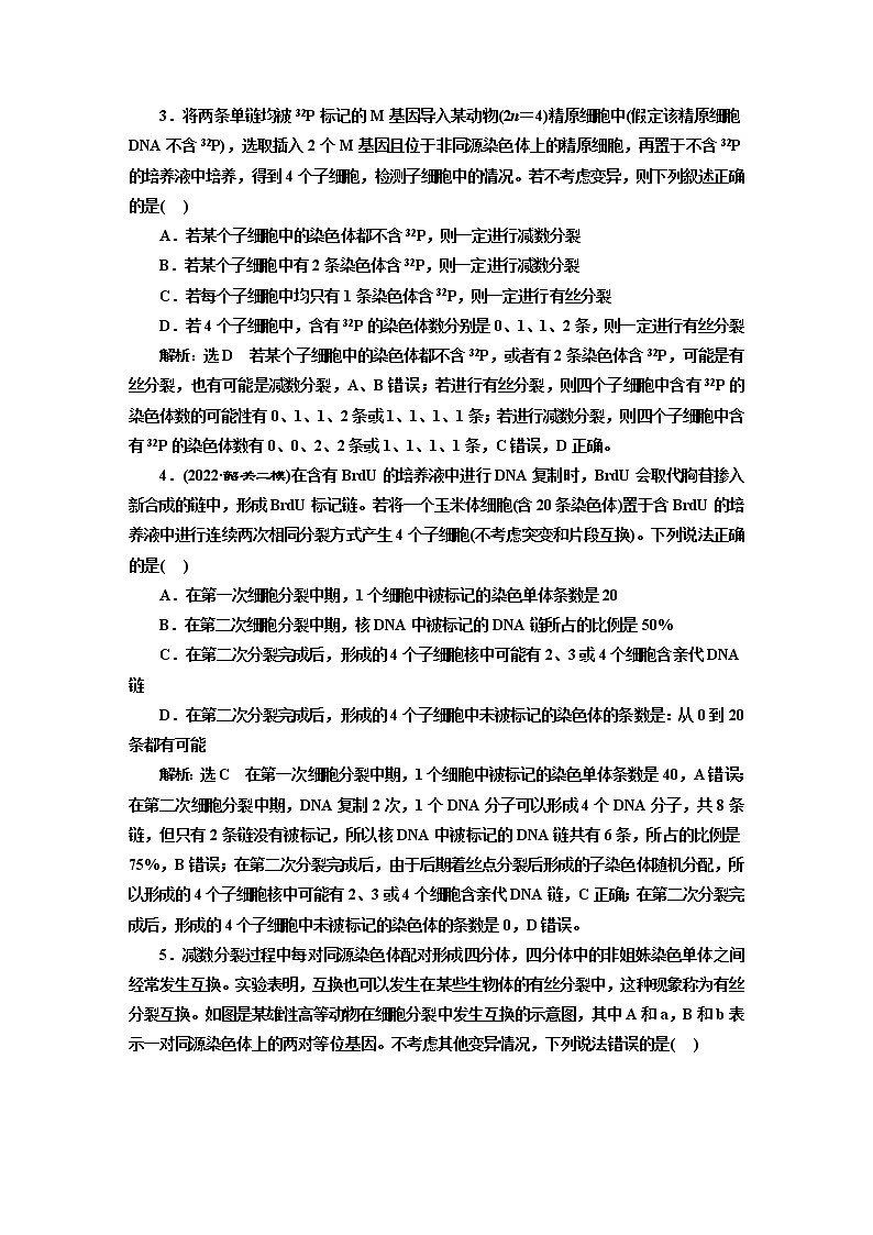2023届高考生物二轮复习细胞分裂中变异类型和标记染色体去向的分析作业含答案第2页