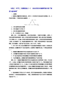 2023届高考生物二轮复习光合作用和细胞呼吸中的“物质与能量观”作业含答案