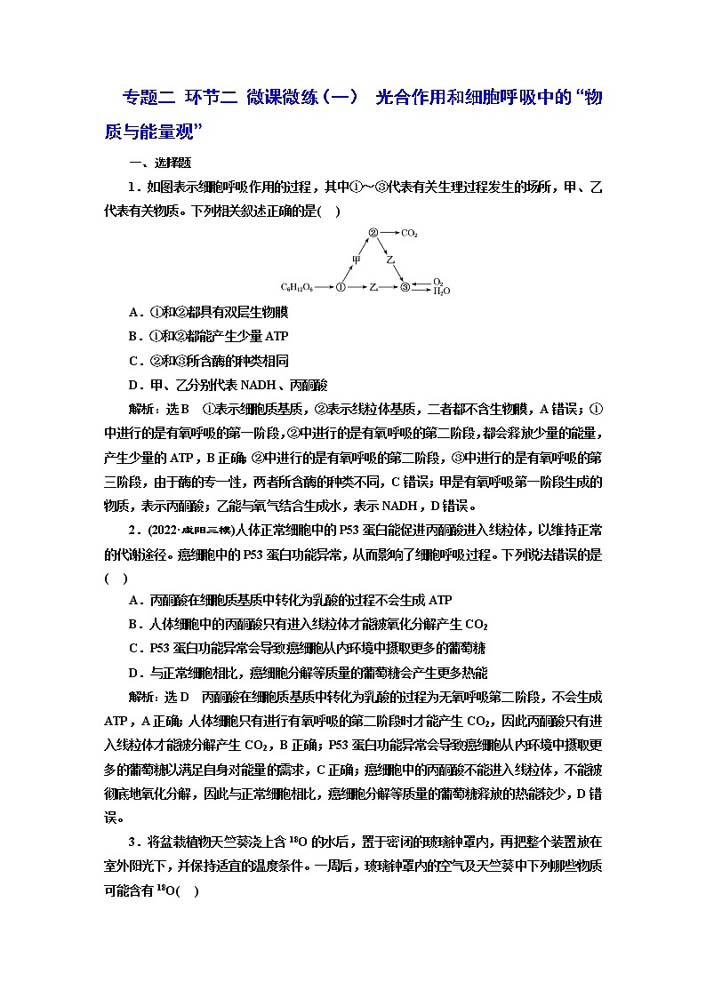 2023届高考生物二轮复习光合作用和细胞呼吸中的“物质与能量观”作业含答案第1页