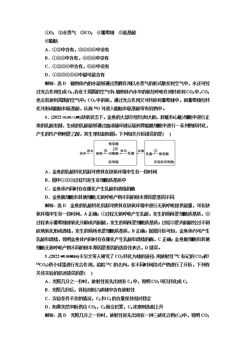 2023届高考生物二轮复习光合作用和细胞呼吸中的“物质与能量观”作业含答案第2页
