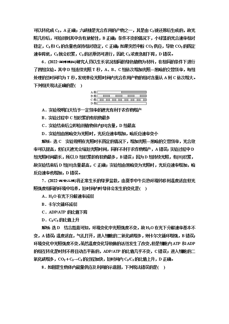 2023届高考生物二轮复习光合作用和细胞呼吸中的“物质与能量观”作业含答案第3页