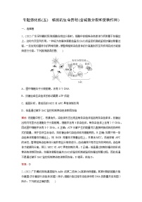 2023届高考生物二轮复习细胞的生命历程(含减数分裂和受精作用)作业含答案