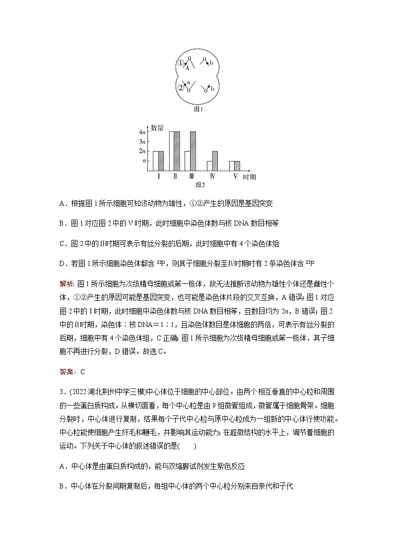 2023届高考生物二轮复习细胞的生命历程(含减数分裂和受精作用)作业含答案第2页