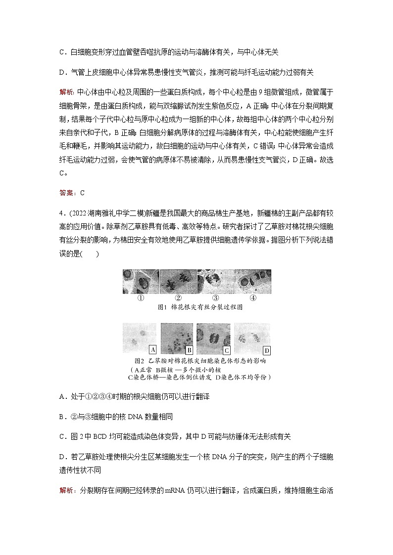 2023届高考生物二轮复习细胞的生命历程(含减数分裂和受精作用)作业含答案第3页