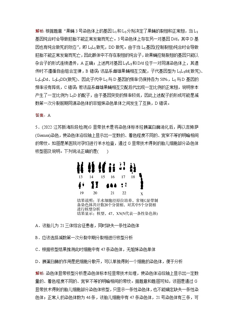 2023届高考生物二轮复习生物的变异与进化作业含答案第3页