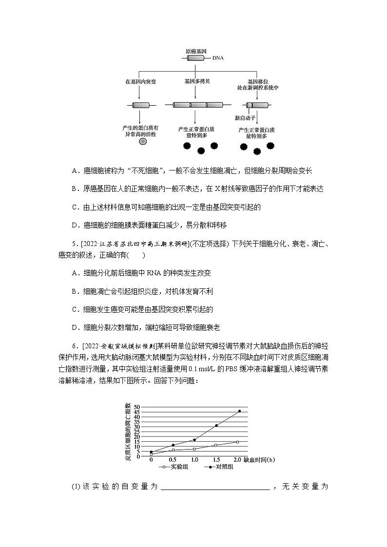 2023届高考生物二轮复习细胞的分化、衰老、死亡和癌变作业（不定项）含答案第2页