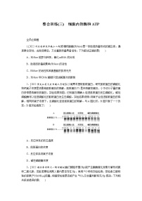 2023届高考生物二轮复习细胞内的酶和ATP作业（不定项）含答案