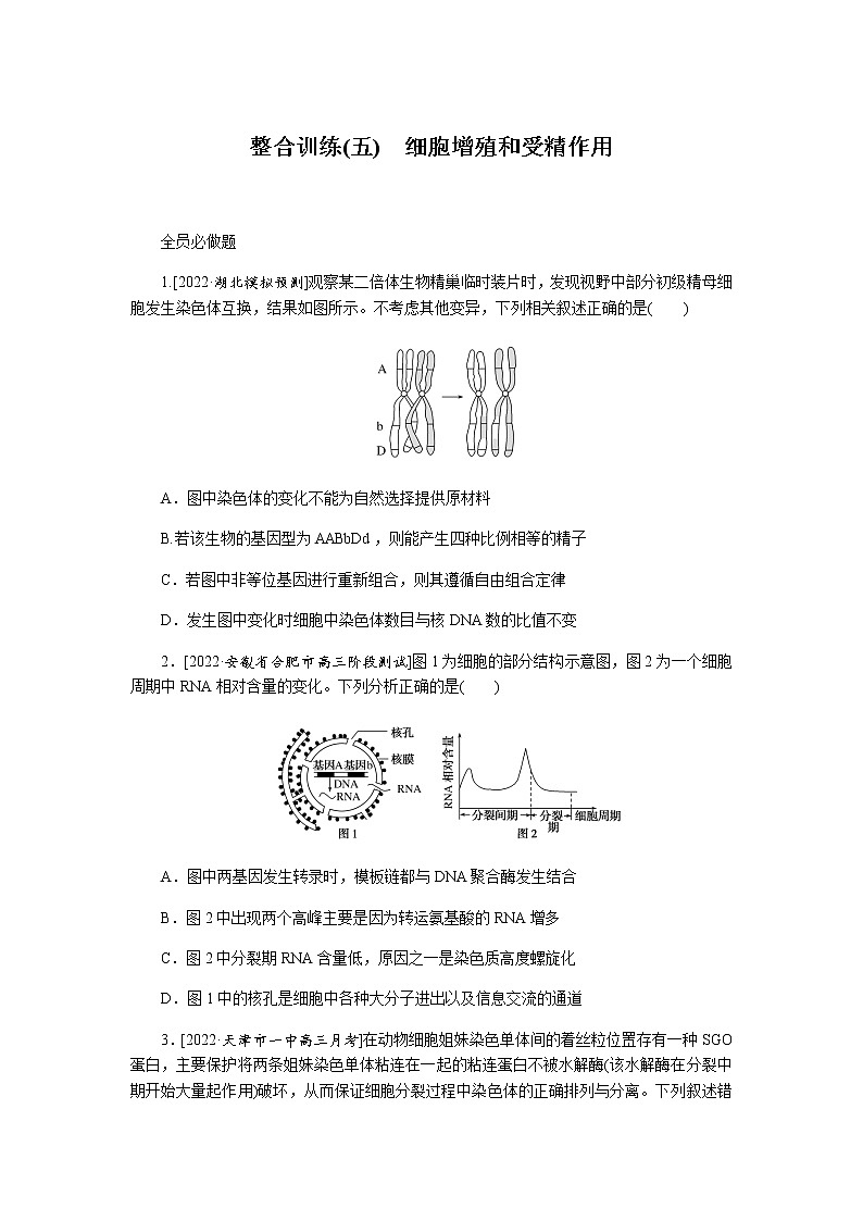 2023届高考生物二轮复习细胞增殖和受精作用作业（不定项）含答案第1页