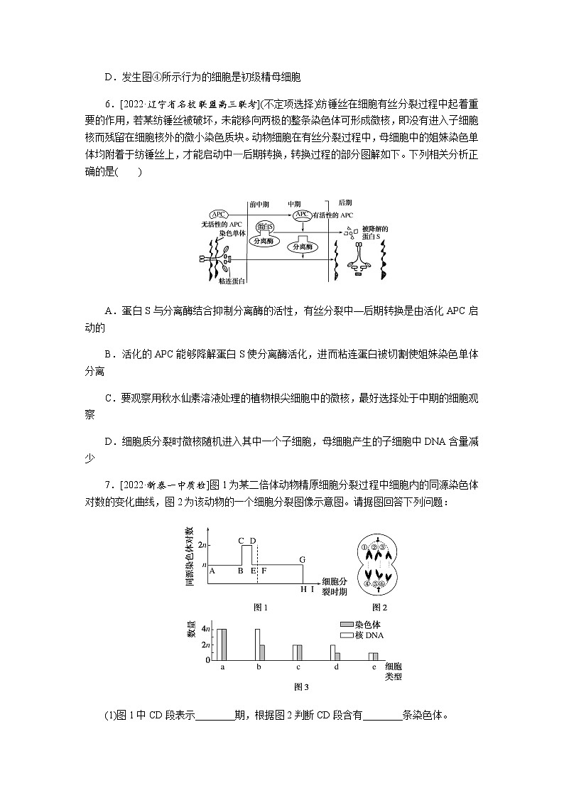 2023届高考生物二轮复习细胞增殖和受精作用作业（不定项）含答案第3页