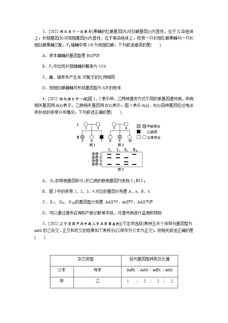 2023届高考生物二轮复习遗传的基本规律与人类遗传病作业（不定项）含答案02