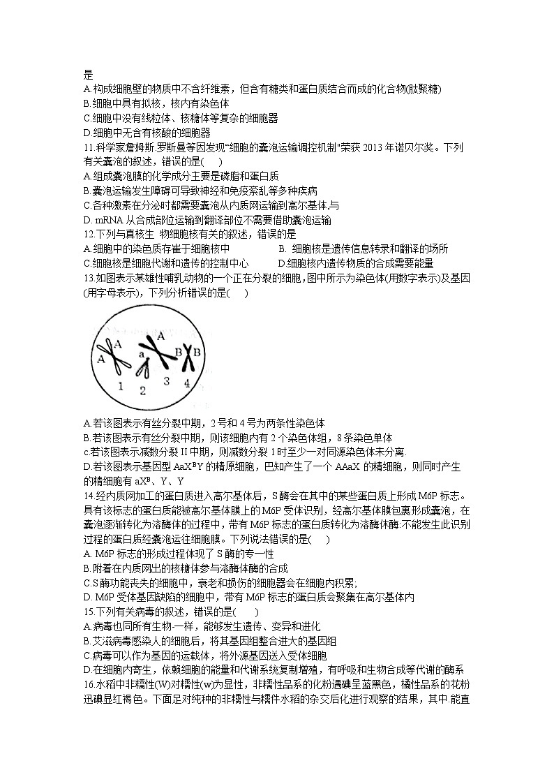 河南省洛阳市六校2023届高三生物上学期10月联考试卷（Word版附答案）02