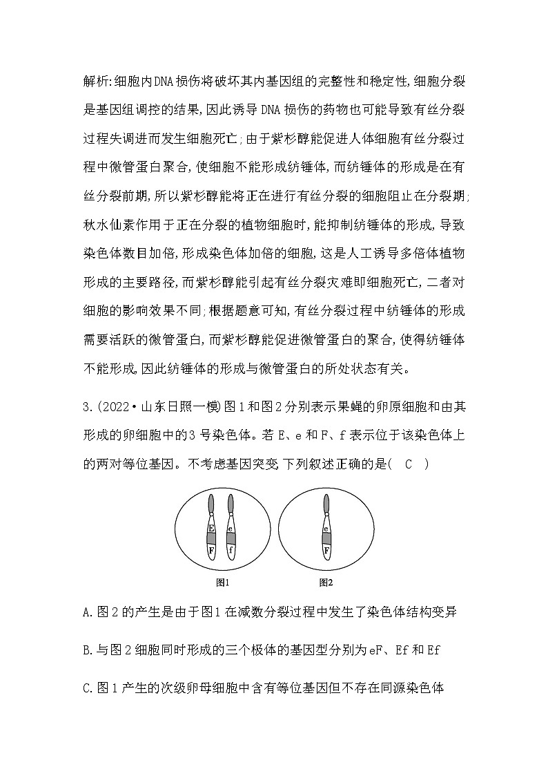 2023届高考生物二轮复习第6讲有丝分裂与减数分裂作业含答案02