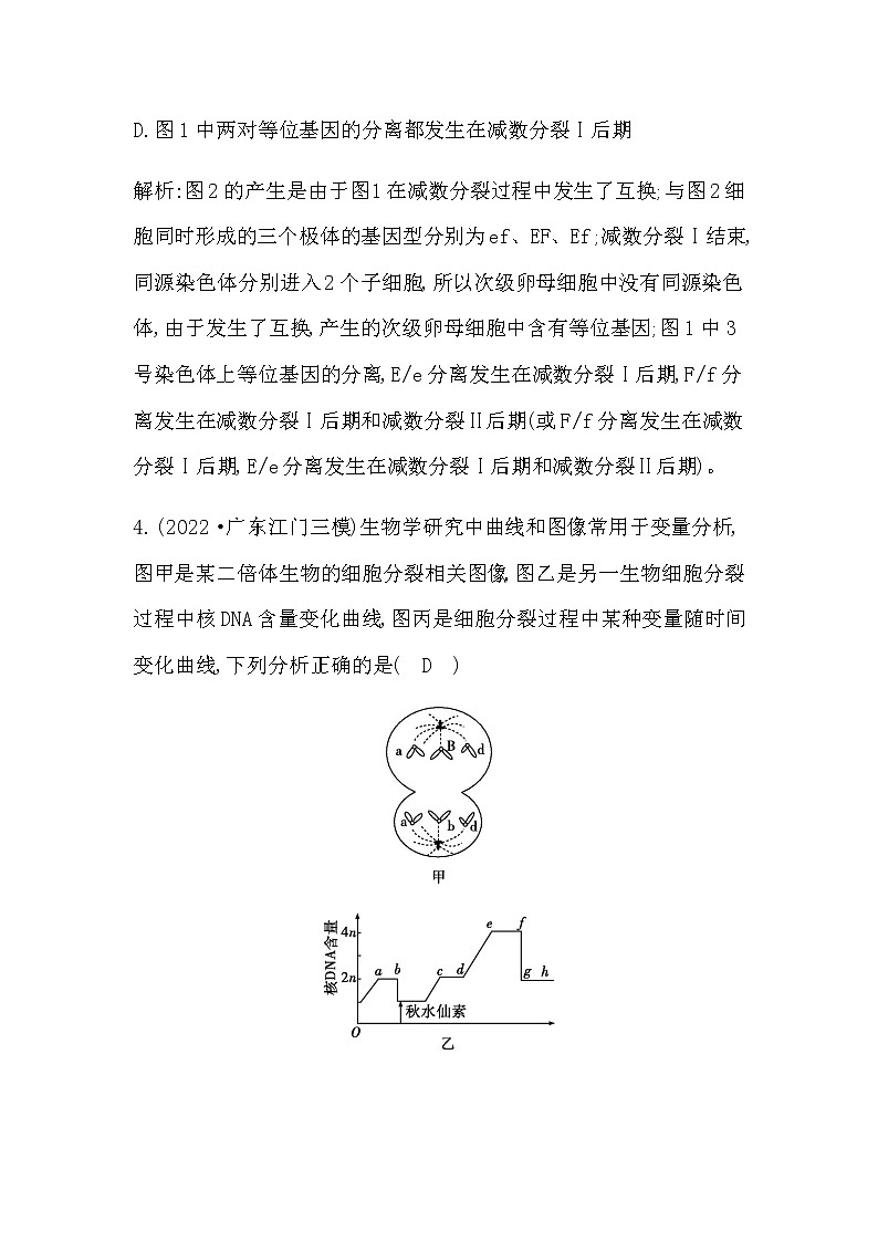 2023届高考生物二轮复习第6讲有丝分裂与减数分裂作业含答案03