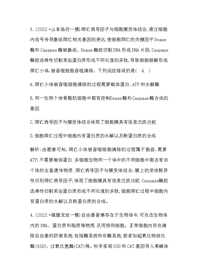 2023届高考生物二轮复习第7讲细胞的分化、衰老和死亡作业含答案第2页