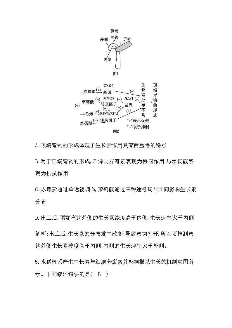 2023届高考生物二轮复习第13讲植物的激素调节作业含答案03