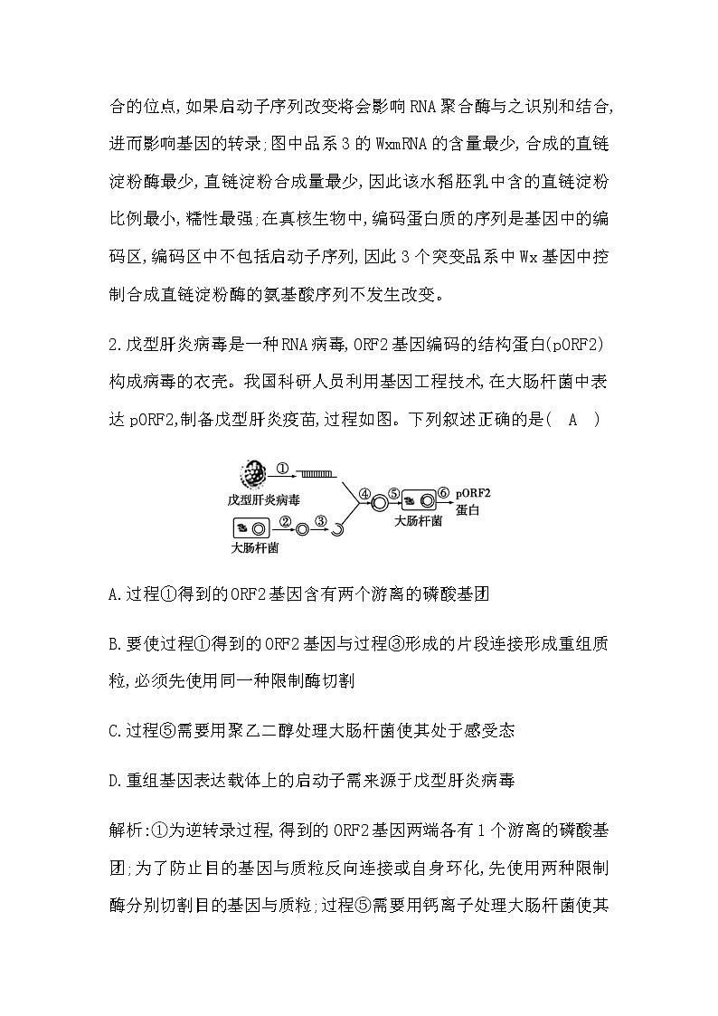 2023届高考生物二轮复习第19讲基因工程及生物技术的安全性与伦理问题作业含答案02