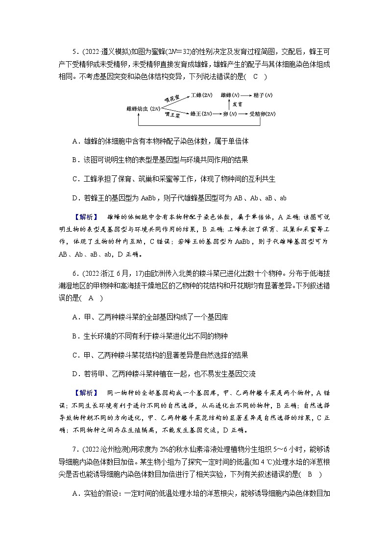 2023届高考生物二轮复习变异与进化作业含答案第3页