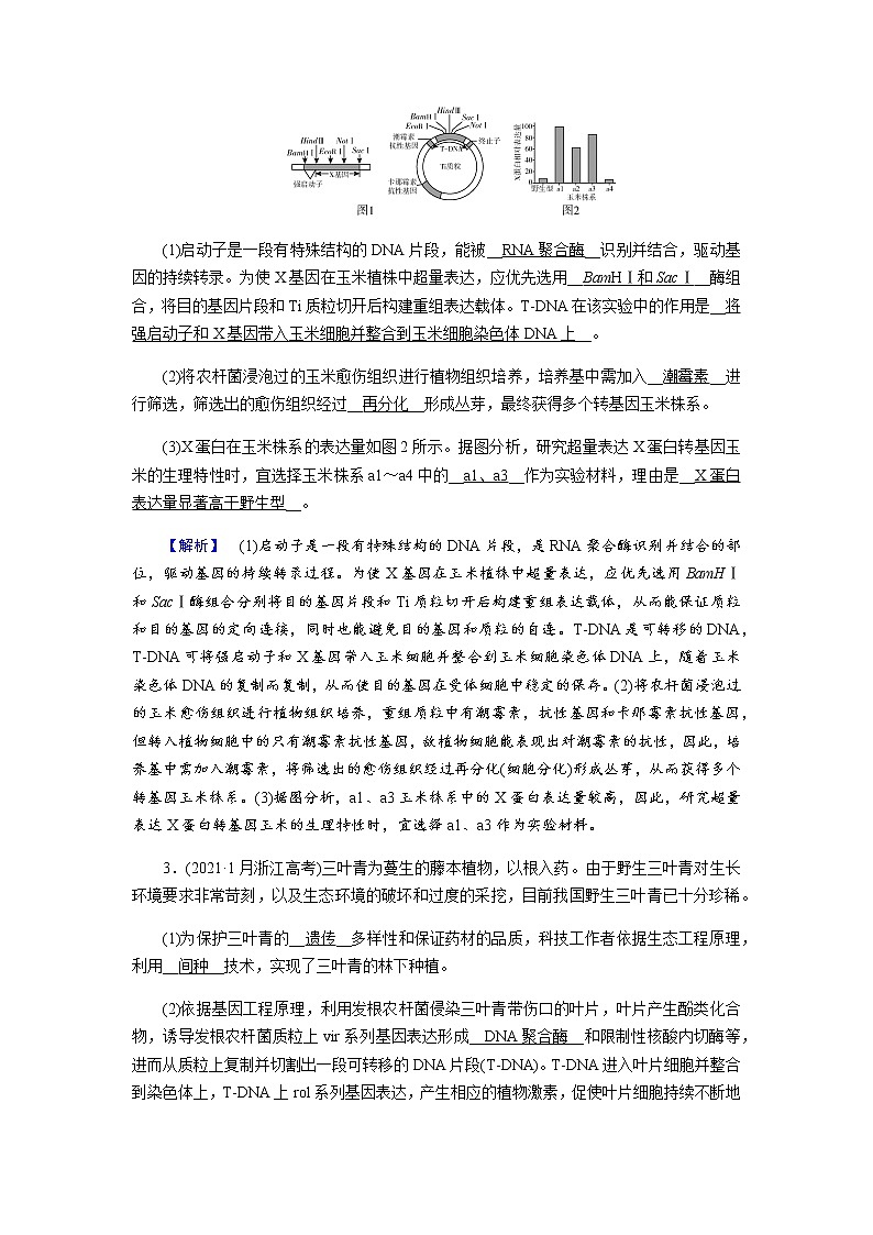 2023届高考生物二轮复习现代生物科技专题作业含答案02