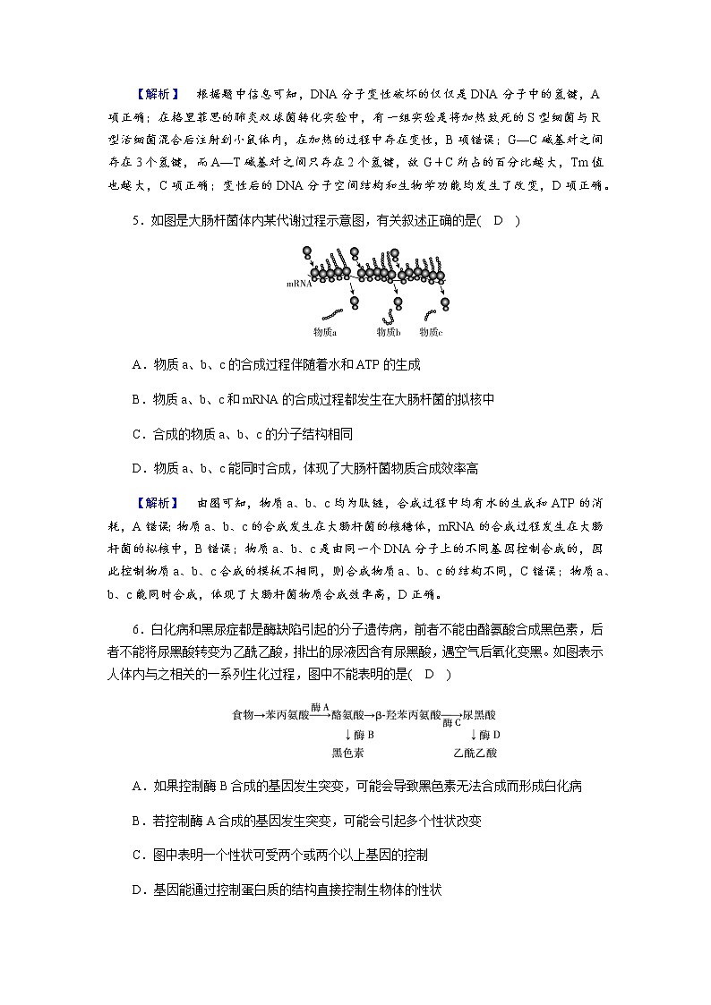 2023届高考生物二轮复习遗传物质的分子基础作业含答案第3页