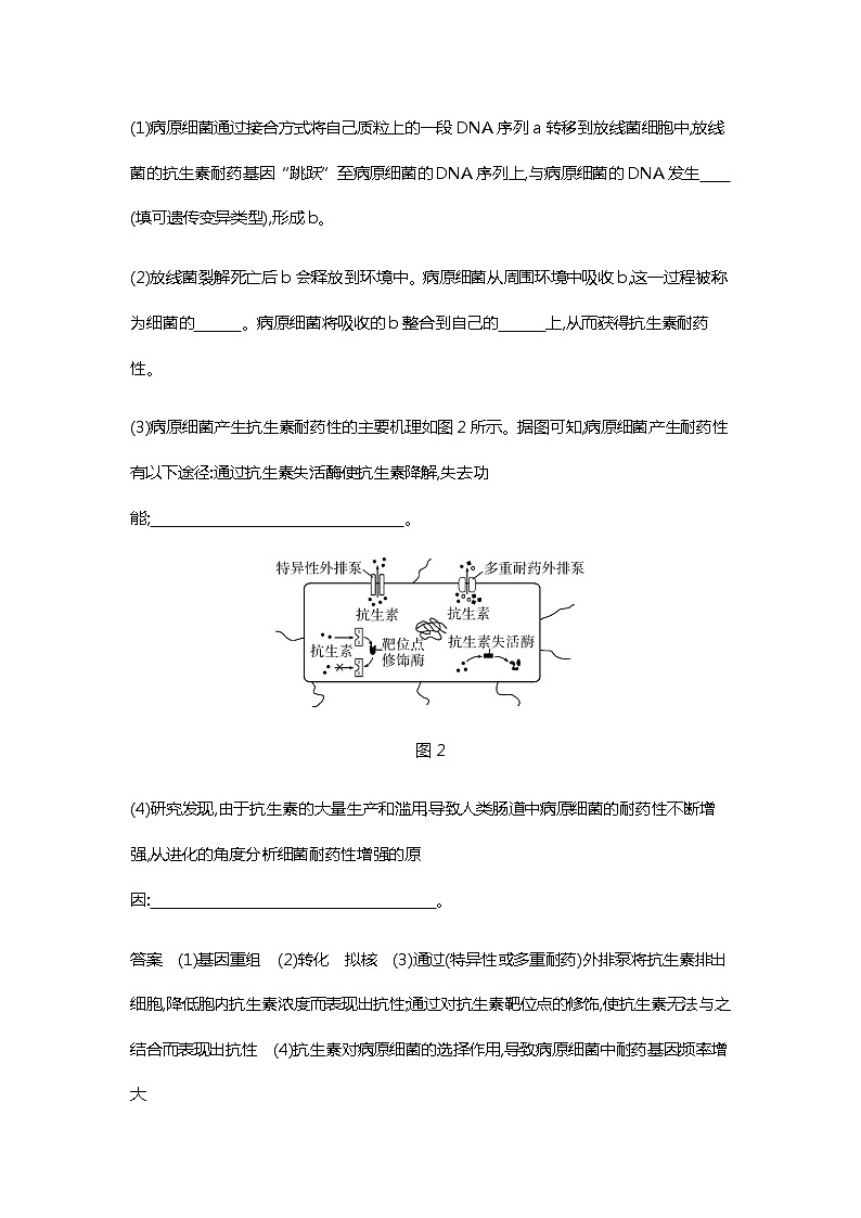 2023届高考生物二轮复习生物的进化作业含答案第3页