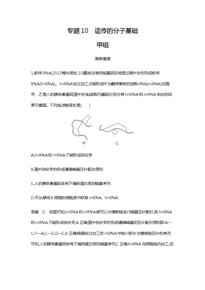 2023届高考生物二轮复习遗传的分子基础作业含答案第1页