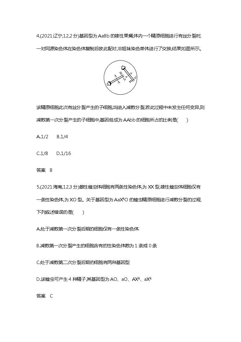2023届高考生物二轮复习遗传的细胞基础作业含答案第3页