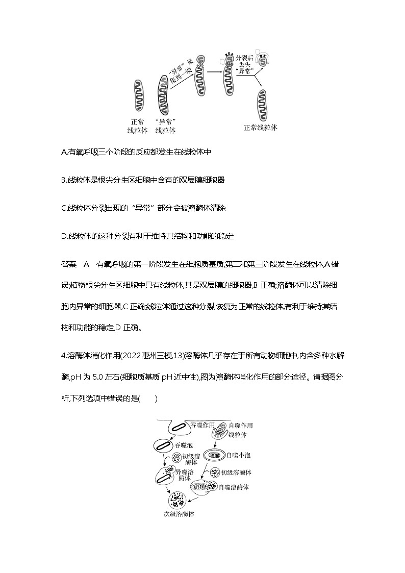 2023届高考生物二轮复习细胞的结构与功能作业含答案第3页