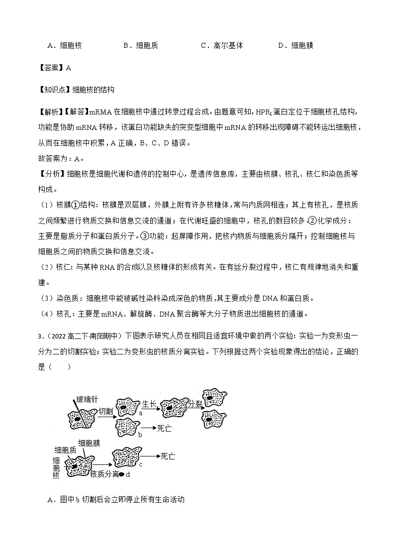 2023届高考生物二轮复习通用版8细胞核作业含答案第2页