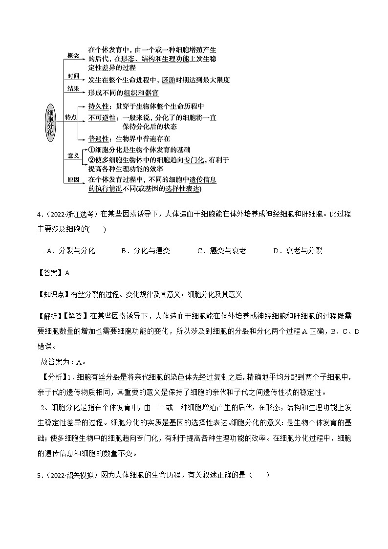 2023届高考生物二轮复习通用版16细胞的生命历程（分化、衰老、凋亡与癌变）作业含答案第3页