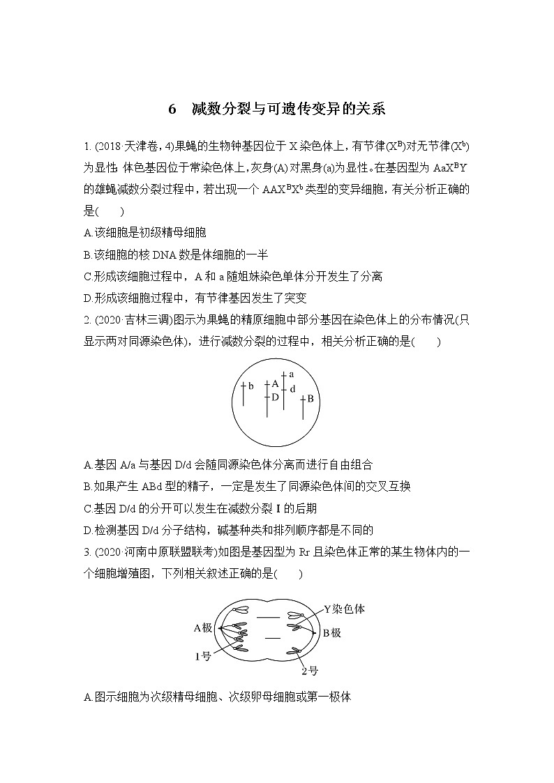 2023届高考生物二轮复习减数分裂与可遗传变异的关系作业含答案第1页