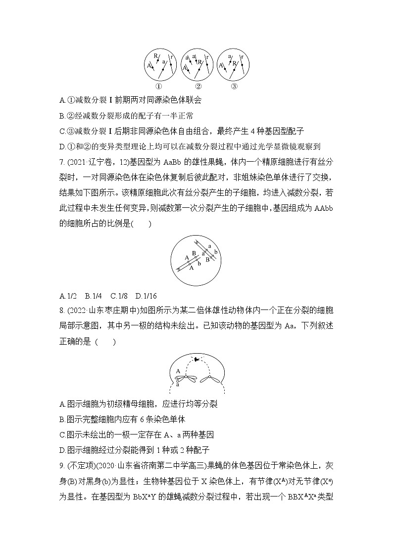 2023届高考生物二轮复习减数分裂与可遗传变异的关系作业含答案第3页