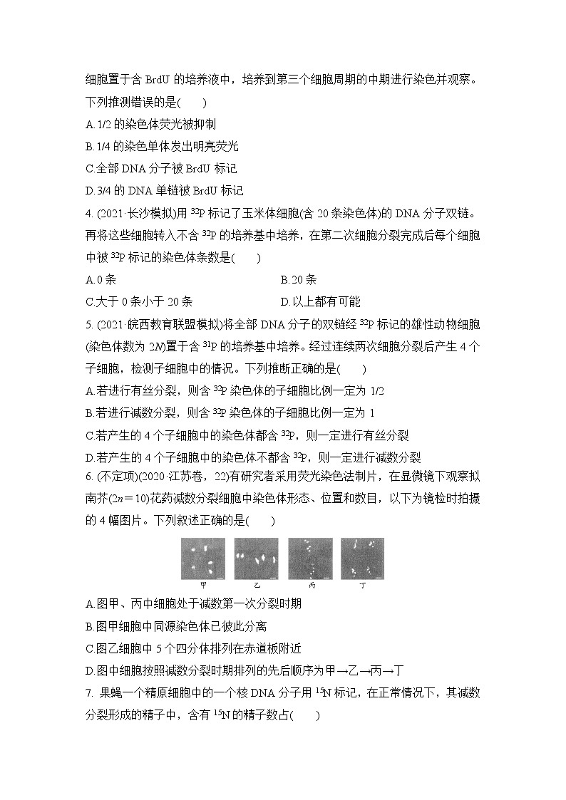 2023届高考生物二轮复习细胞分裂过程中的同位素标记问题作业含答案第2页