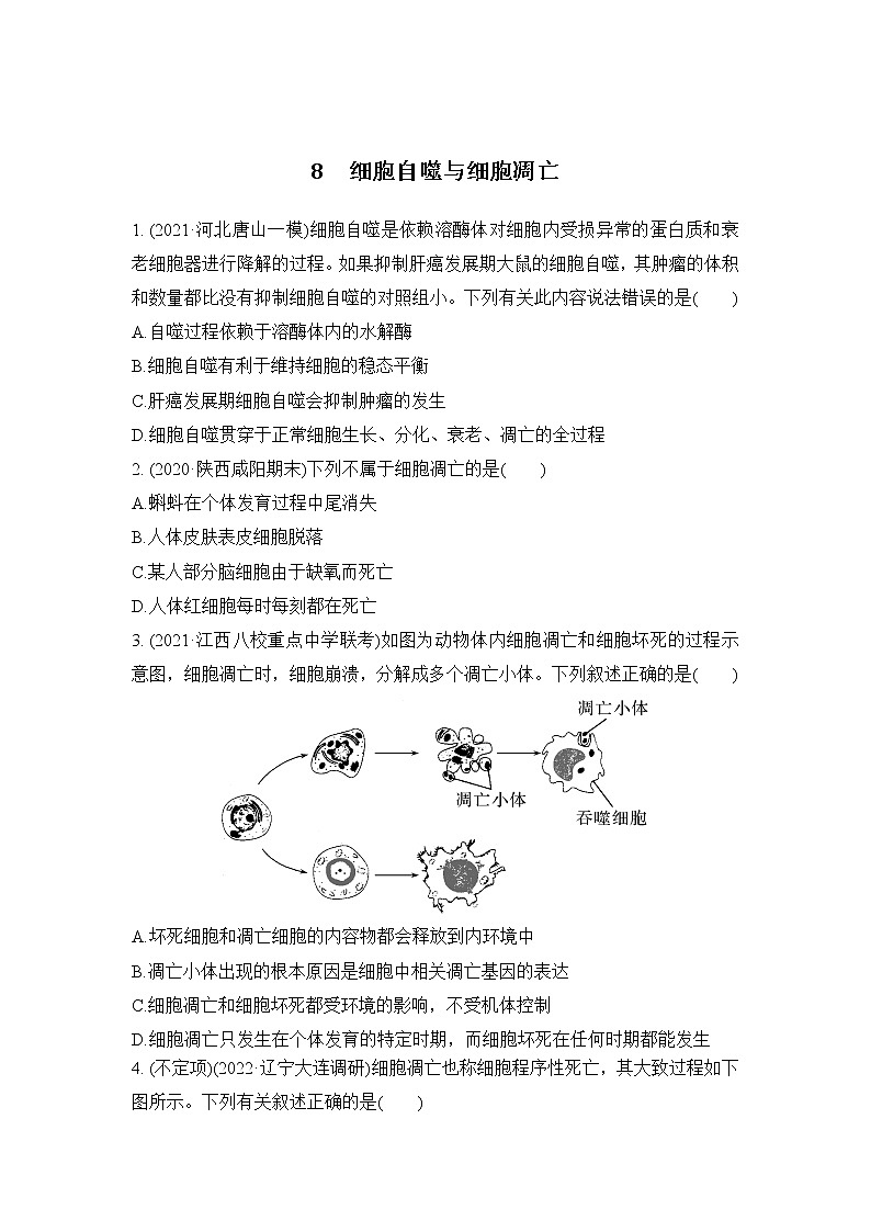 2023届高考生物二轮复习细胞自噬与细胞凋亡作业含答案第1页