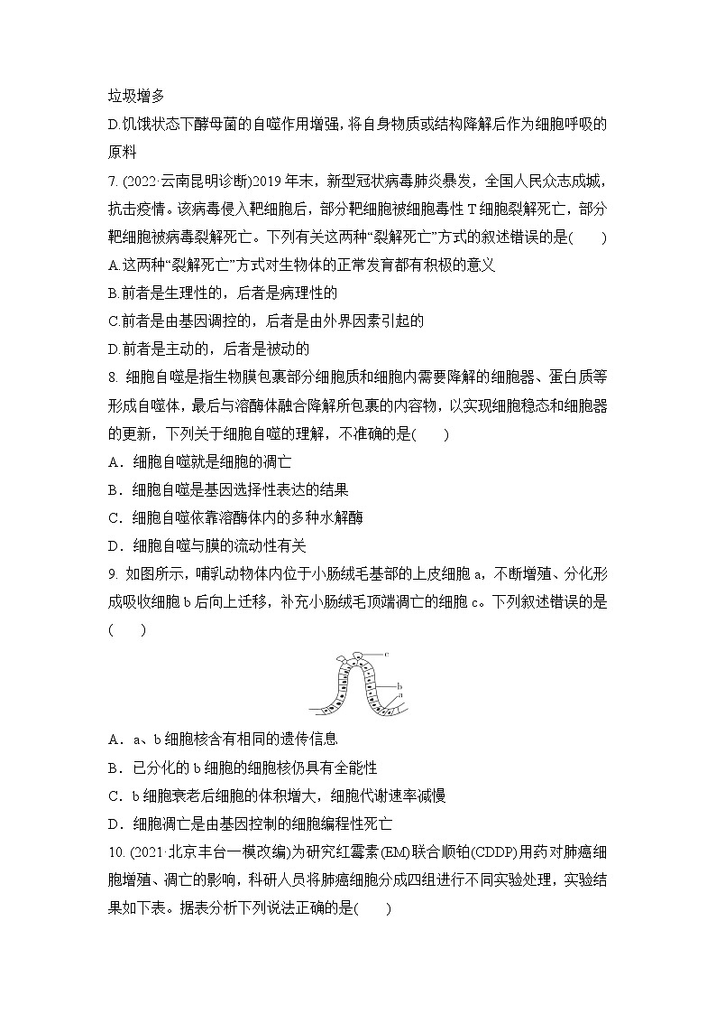 2023届高考生物二轮复习细胞自噬与细胞凋亡作业含答案第3页