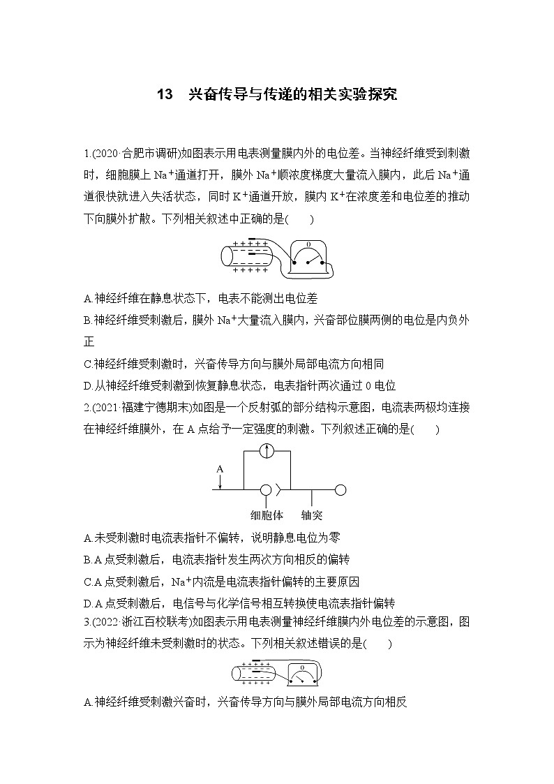 2023届高考生物二轮复习兴奋传导与传递的相关实验探究作业含答案01
