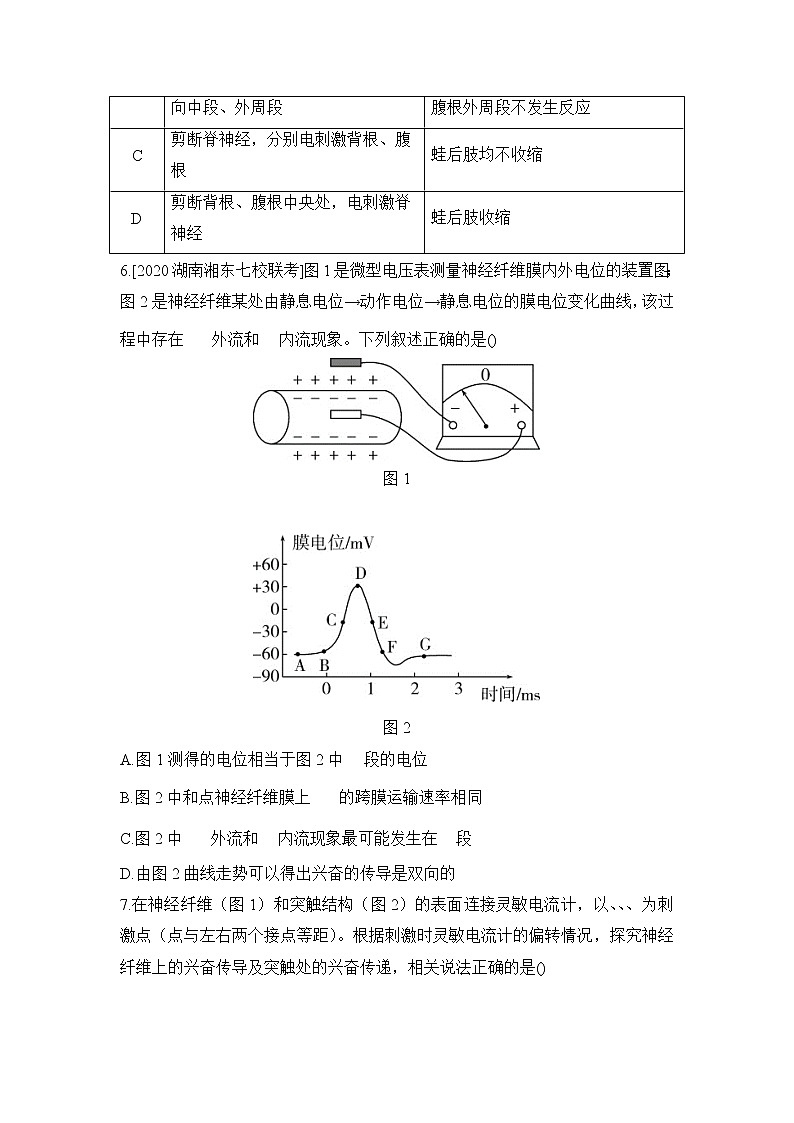 2023届高考生物二轮复习兴奋传导与传递的相关实验探究作业含答案03