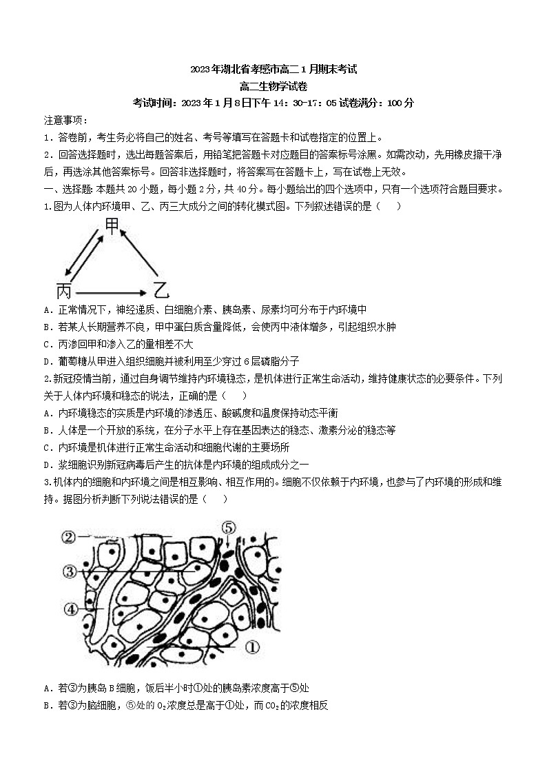 湖北省孝感市2022-2023学年高二上学期1月期末考试  生物  Word版含解析01
