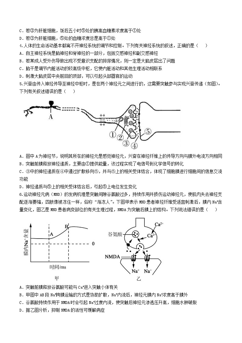 湖北省孝感市2022-2023学年高二上学期1月期末考试  生物  Word版含解析02