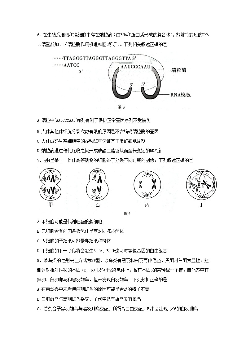 重庆市第八中学2023届高考生物适应性月考卷（四）试卷（Word版附解析）第3页