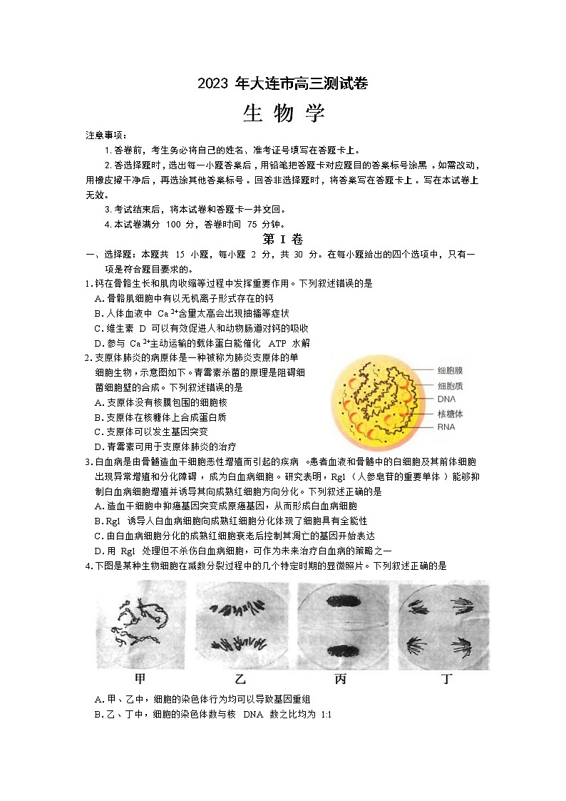 辽宁省大连市2023届高三生物上学期期末考试试卷（Word版附答案）01
