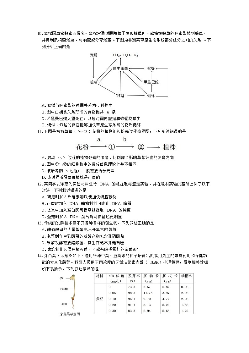 辽宁省大连市2023届高三生物上学期期末考试试卷（Word版附答案）03