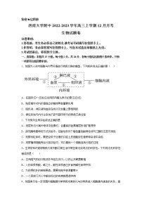 西南大学附属中学2023届高三生物上学期12月月考试卷（Word版附答案）