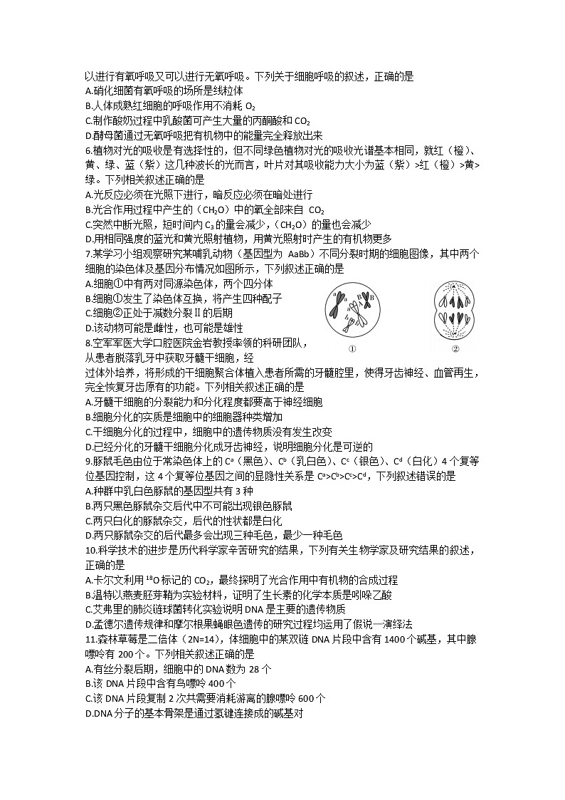 皖豫名校2023届高三生物上学期12月联考（二）试卷（Word版附答案）第2页