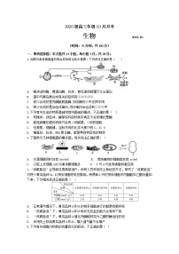 苏州市吴江区2023届高三生物上学期10月月考试卷（Word版附答案）