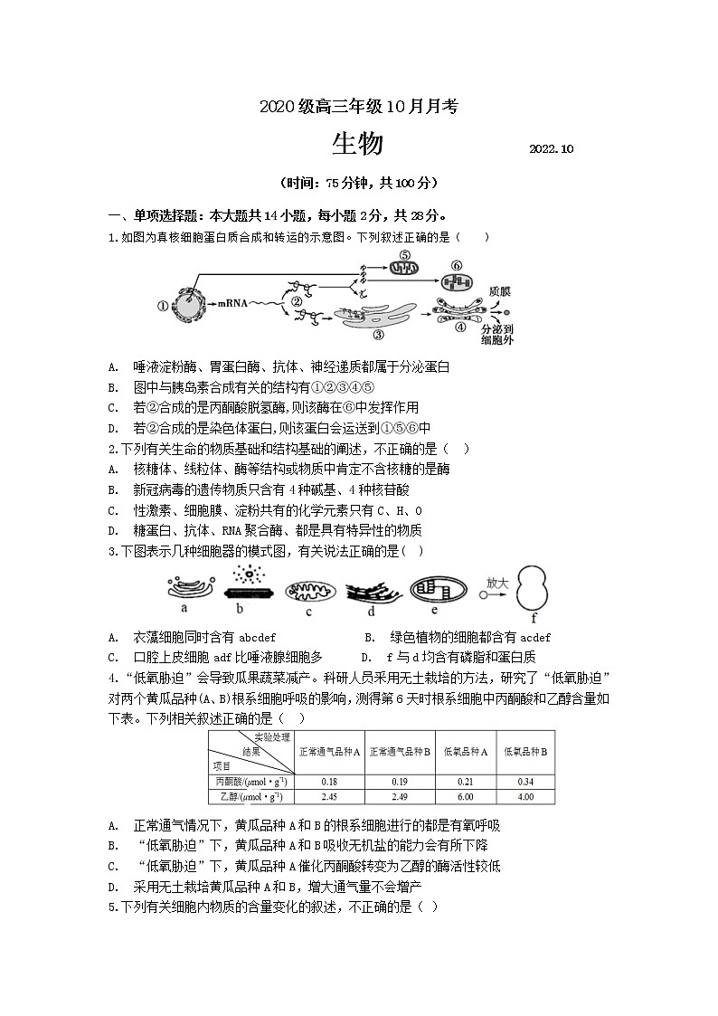 苏州市吴江区2023届高三生物上学期10月月考试卷（Word版附答案）01