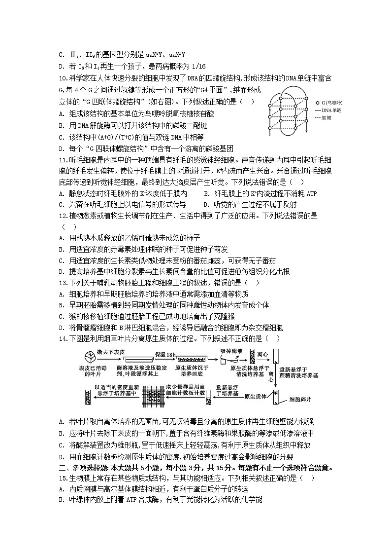 苏州市吴江区2023届高三生物上学期10月月考试卷（Word版附答案）03