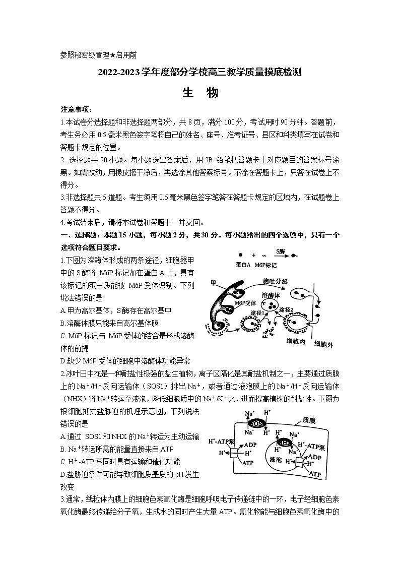 山东省淄博市部分学校2023届高三生物上学期12月质量摸底检测试卷（Word版附答案）01