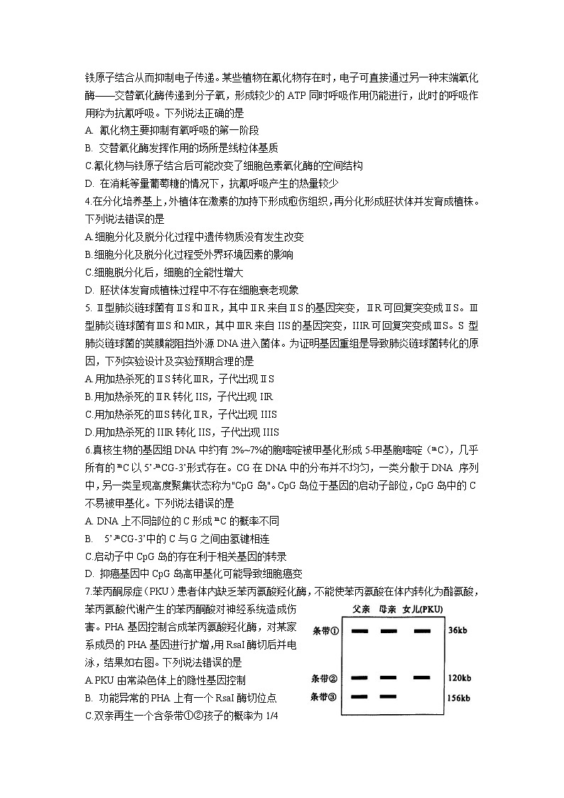 山东省淄博市部分学校2023届高三生物上学期12月质量摸底检测试卷（Word版附答案）02