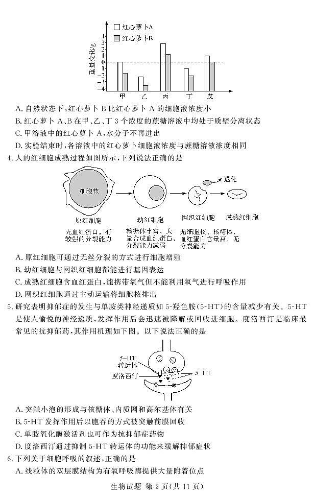 河南省湘豫名校2023届高三生物上学期12月期末摸底考试试卷（PDF版附解析）第2页