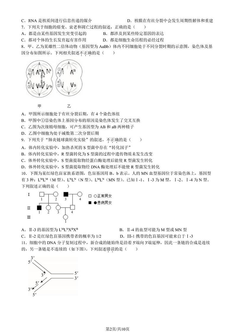 2022-2023学年北京北师大附中高三期中生物试题及答案02